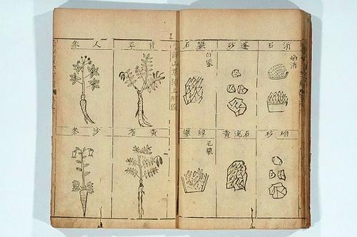 关于本草纲目的手抄报手抄报版面设计图