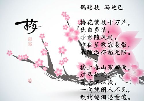 诗歌翻译:冯延巳-《鹊踏枝·梅花繁枝千万片》英文译文