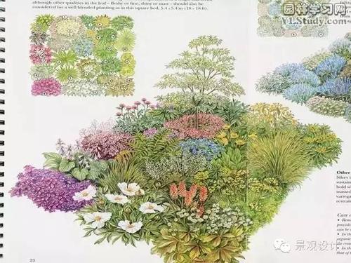 【致设计师】超有气质的花镜手绘平面及效果图,棒棒哒!