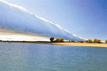 牵牛花云提前露面