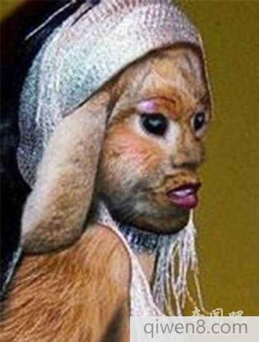 着名科学家伊里亚·伊万诺夫此前做过不少各种动物杂交实验,伊万诺夫