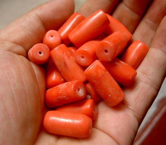 红珊瑚-红珊瑚价格-红珊瑚图片,来自藏友茅山老道