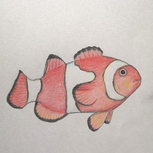 其它 自诗自画之十大名鱼 写美篇彩色铅笔画,每鱼配七绝一首.