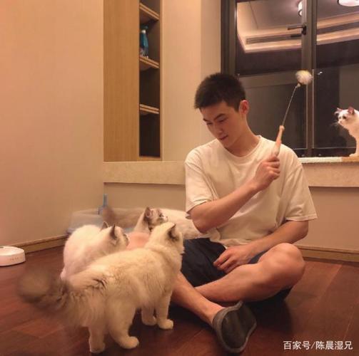 来自上海的寸头腹肌小奶狗,年轻又活力,真的很容易