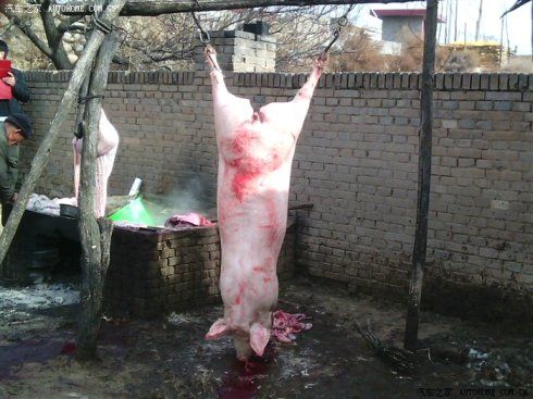 杀猪