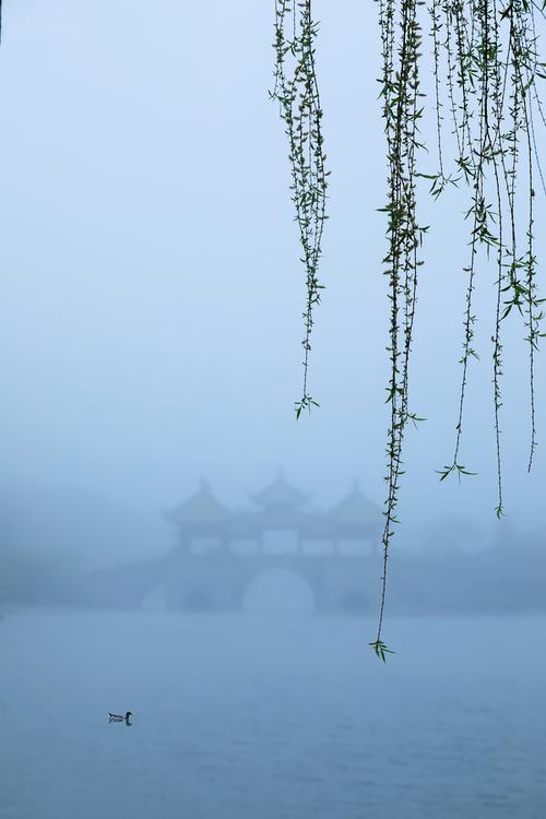烟雨蒙蒙瘦西湖