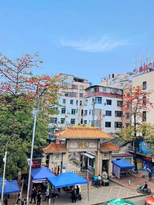 春光明媚,元岗村牌坊旁的木棉树,花开得正盛,而疫情形势也逐渐好转.