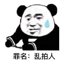 罪名:乱拍人.