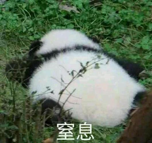 窒息_窒息表情