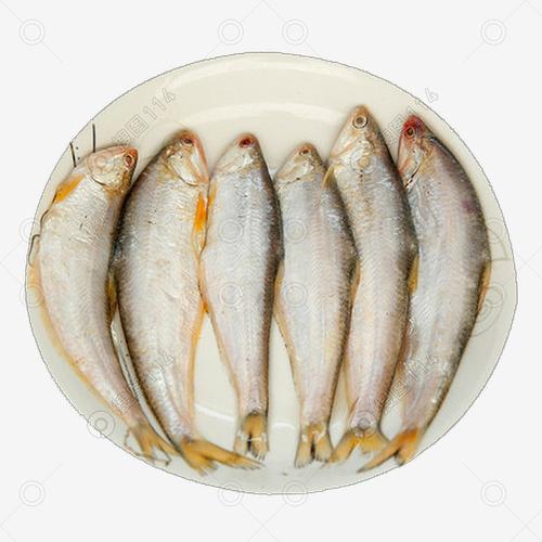 天然野生新鲜油扣鱼