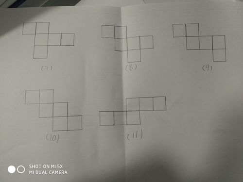 其它 正方体和长方体 写美篇  但是正方体的展开图就不像长方体那么