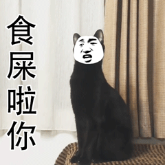 小猫惊恐表情