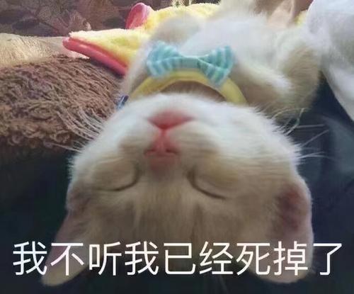 表情包~满脸写着拒绝