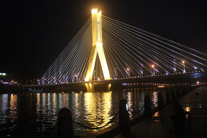 丽水夜景 瓯江防洪堤紫金大桥