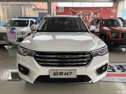 陪朋友今天去长城4s店看车,好猫气质非凡