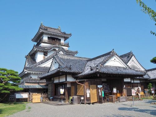 高知城(高知县),重要文化财