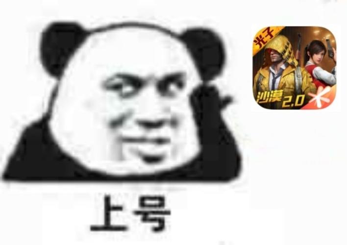 熊猫表情包:你完了反正就是完了