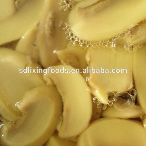 400g high quality canned mushroom