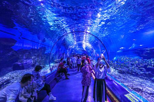 武汉海昌极地海洋公园上演海底川剧变脸