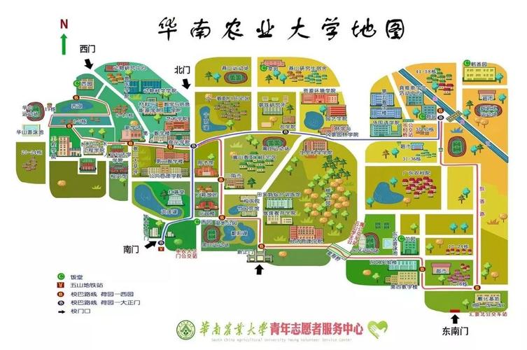 华农,这下要在全国出名了!
