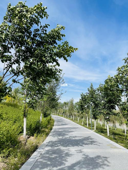 乌鲁木齐头屯河谷森林公园_乌鲁木齐_休闲玩乐_森林_头屯河谷森林公园