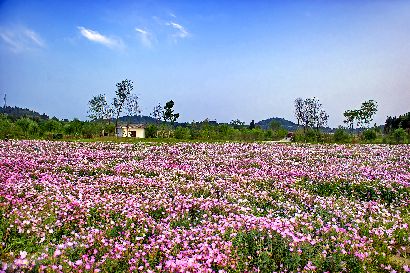 原香·国际香草园