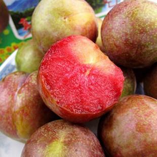 广西现摘晚熟特甜红心 新鲜李子三华李 无公害孕妇水果5斤 真空装