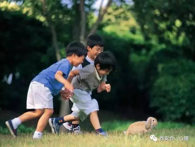 合一心理|这样安排暑假生活,对孩子更有意义