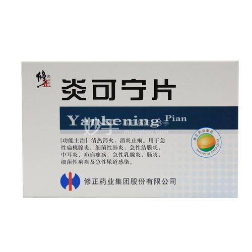 【修正】炎可宁片 0.3g*12s*2板