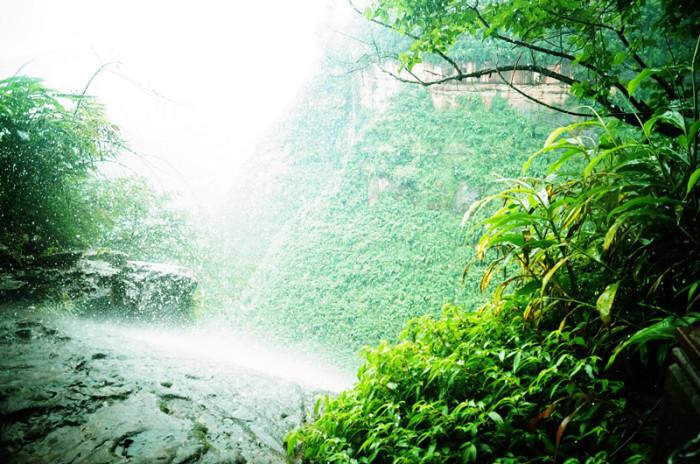 蜀南竹海,所在地四川宜宾长宁.