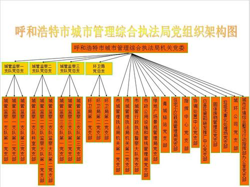 市城管执法局党组织架构图