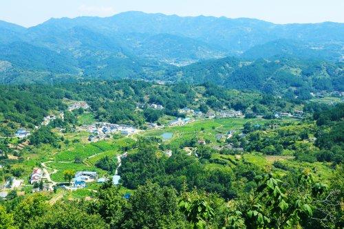 潜山市官庄镇人大代表洪传正:一心一意谋发展,一枝一叶总关情