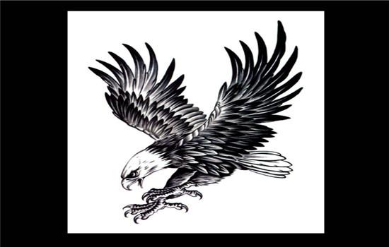 为什么纹身不要纹老鹰纹身有哪些禁忌事项