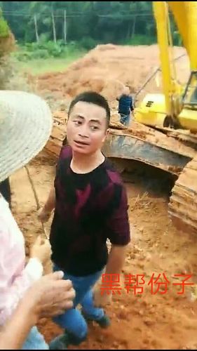 陆川县清湖镇塘榄大塘江,下低坡,塘坡,龙角队土地,被无良奸商联合黑帮