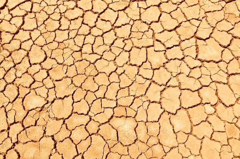 干裂的大地