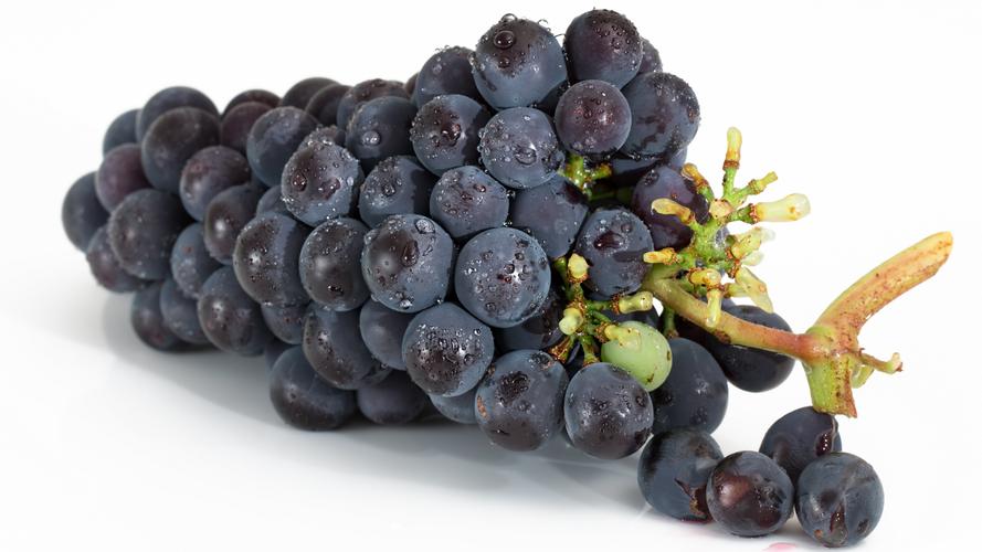 5k高清葡萄图片(7/8)