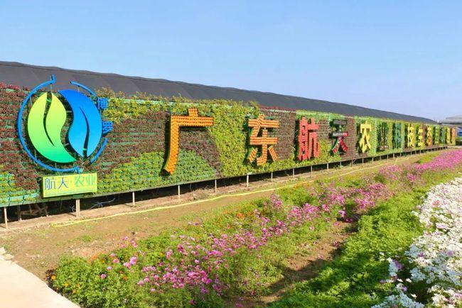 山海惠州,花为你开,你有多久没去过惠州了?