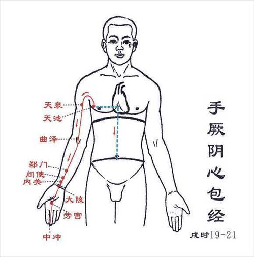 手厥阴心包经穴位解说