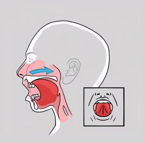 方式四:舌尖贴近下切牙,使舌背侧向口腔底部用力,每天累计练习3分钟.