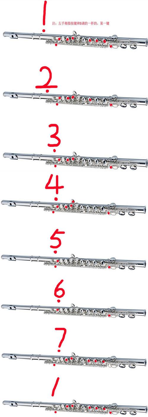 长笛好学吗长笛指法表长笛基本指法图解长笛颤音指法表
