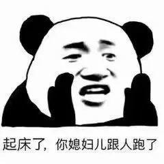 熊猫头表情包起床你媳妇跟人跑了