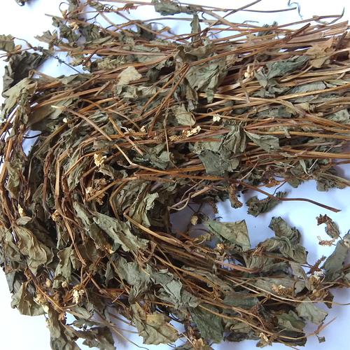 野生鱼腥草 农家新鲜生晒干货 折耳根中药茶饮 清热解毒 凉茶原料