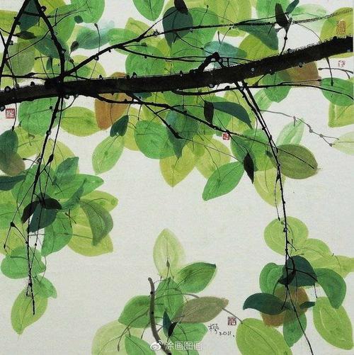 师院附小美术课堂(十八)植物线描装饰画