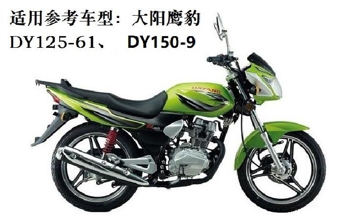 炫咔仕适用于适用大阳摩托dy125361鹰豹悦有dy150927排气管消声器烟筒