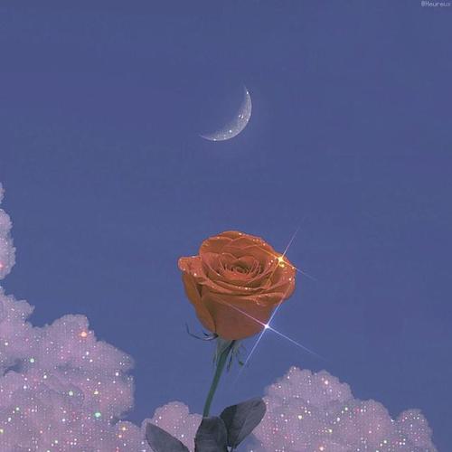 深入人心的走心文案,句句精辟,说到心坎