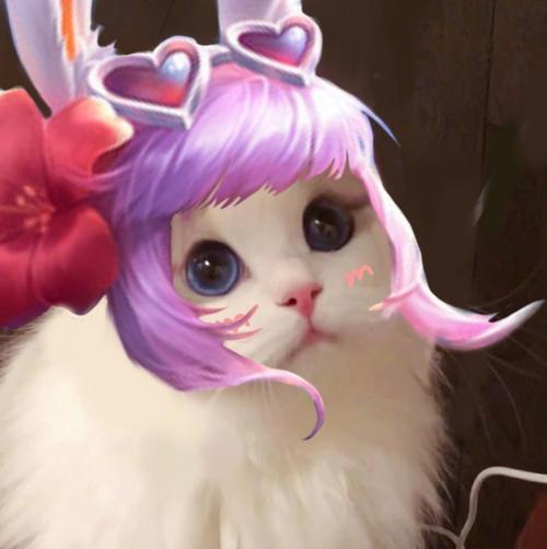 王者荣耀猫咪头像