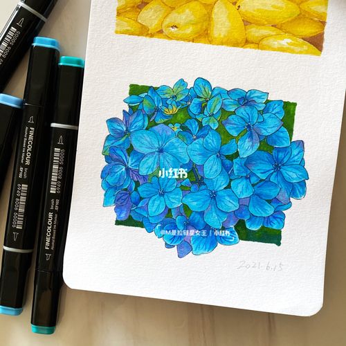 蓝色绣球花|法卡勒三代马克笔_马克笔_绣球花_绘画_动漫_酒精_绘画