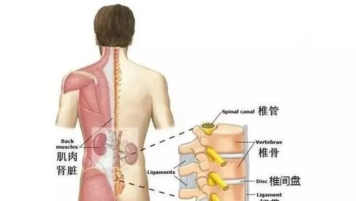 为什么你的腰越治越疼,来疼痛科看看吧!