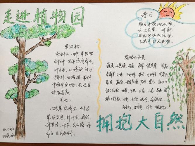 孙奕涵植物园手抄报