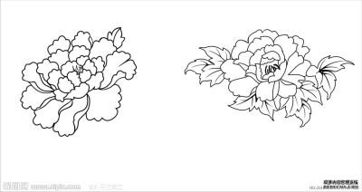 牡丹线描图片